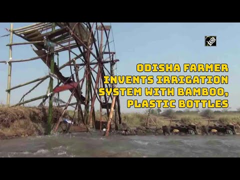Odisha farmer invents irrigation system with bamboo, plastic bottles