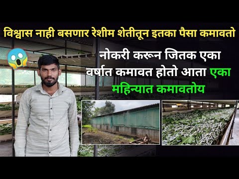 तरुणाने सिद्ध करून दाखवल नोकरीपेक्षा स्वतःचा व्यवसाय भारी | Reshim sheti mahiti in marathi