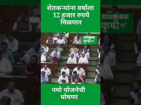 शेतकर्‍यांना आता वर्षाला 12 हजार रुपये मिळणार; सरकारची मोठी घोषणा #agriculture #budget