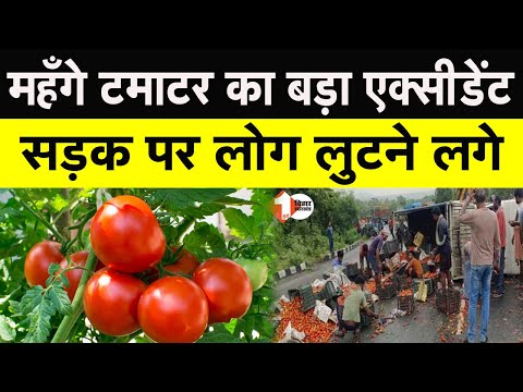 बीच सड़क पर अनियंत्रित होकर पलटा टमाटर लदा पिकअप वैन, लोगों में लूटने की मची होड़