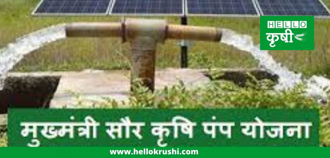 CM Solar Pump