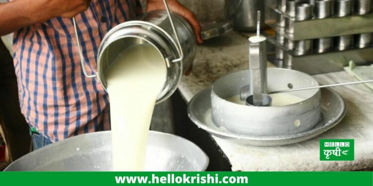 Milk