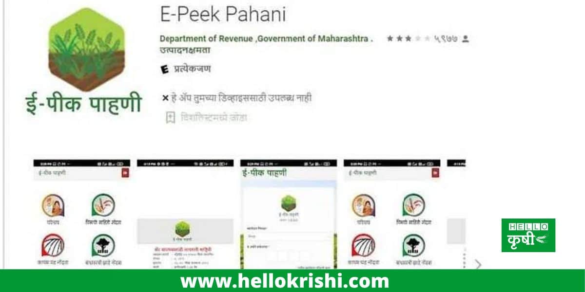E-Pik Pahani