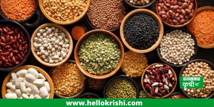Grains