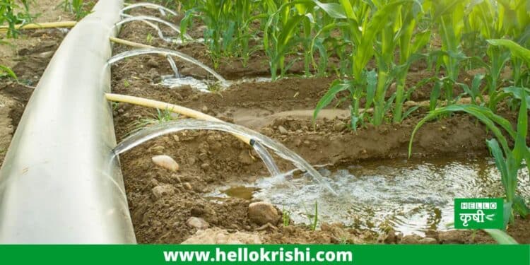 Irrigation techniques
