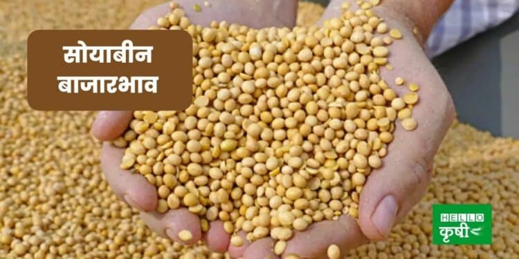 Soyabean Rate Today