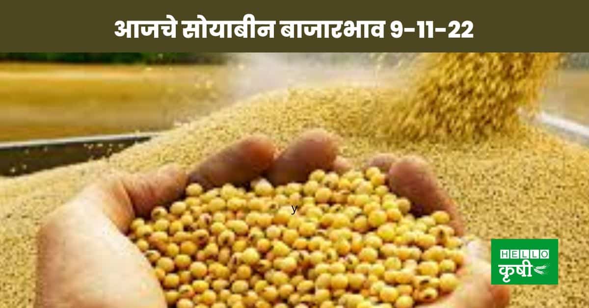Soyabean rate today