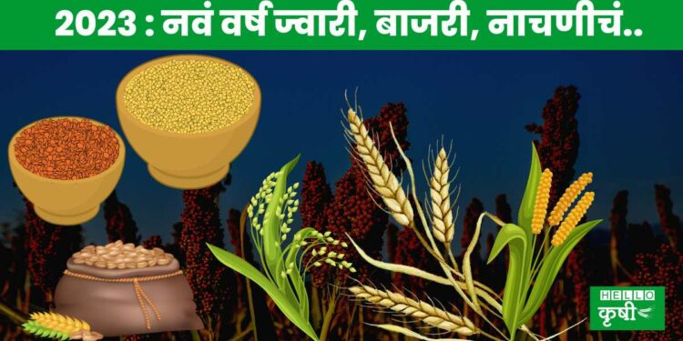 2023 International Year of Millets