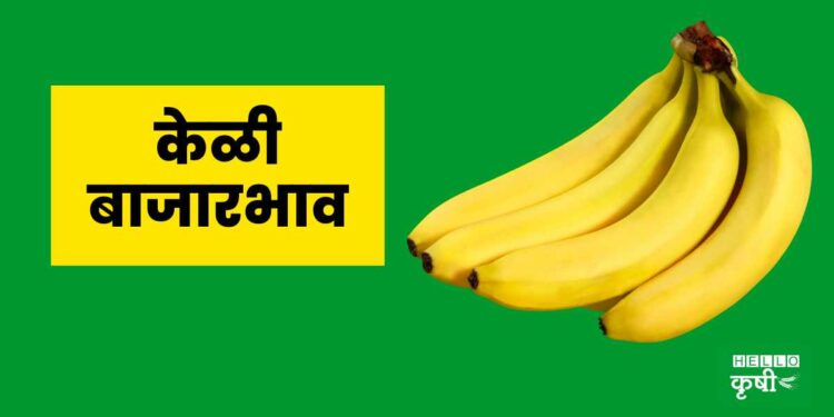 Keli Bazar Bhav