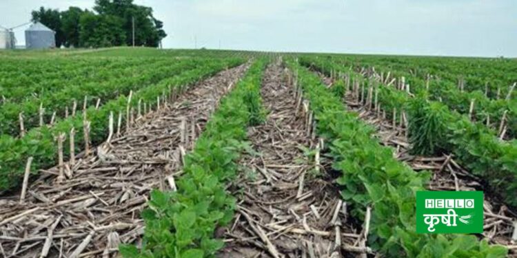 NO-Till Farming