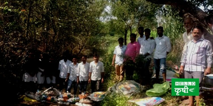 Pathari News