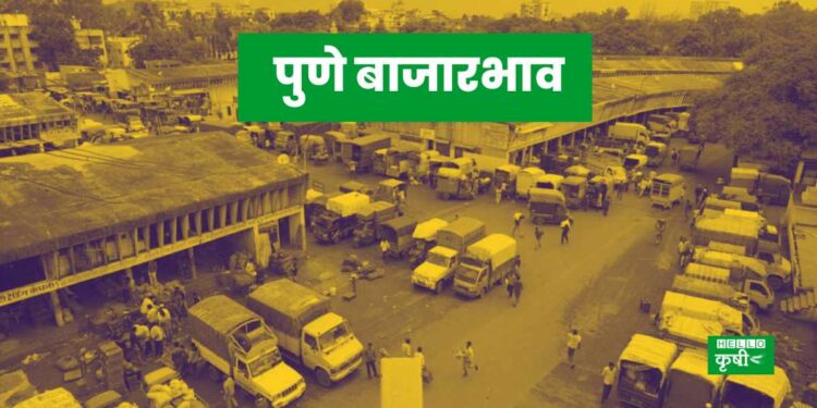 Pune Bajar Bhav
