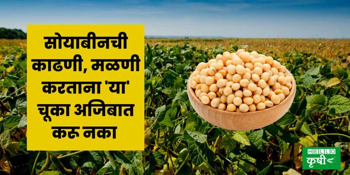 Soyabean cultivation tips