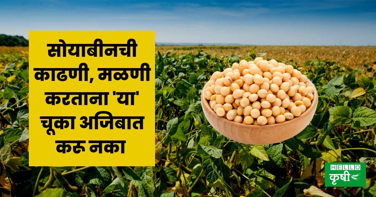 Soyabean cultivation tips