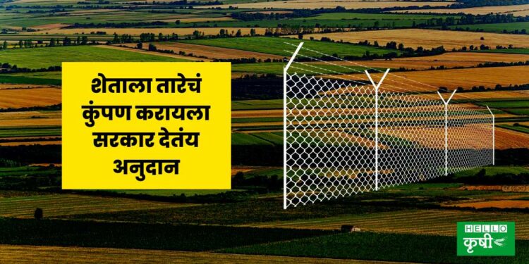 shetila tar kumpan yojana Government Scheme