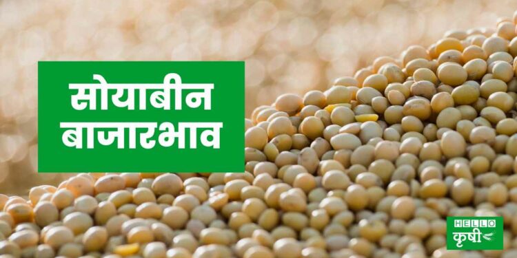 Soyabean Rate Today