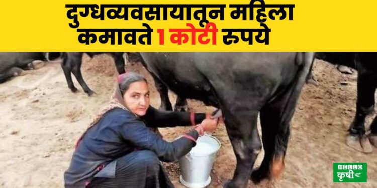 Dairy Business
