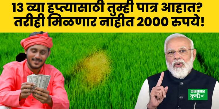 PM Kisan Yojana 13 th Installment Date