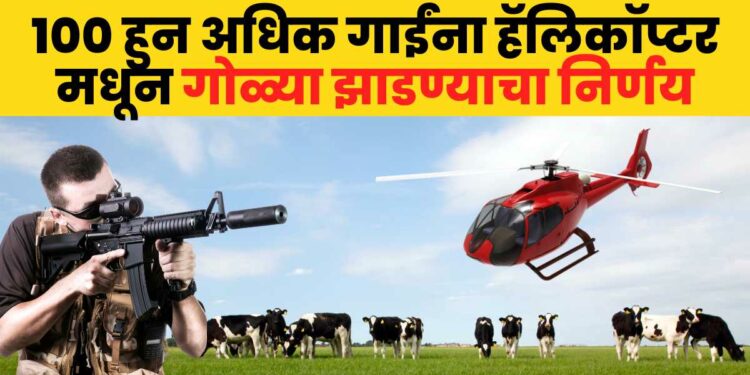 Cow Shooter