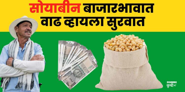 Soyabean Rate