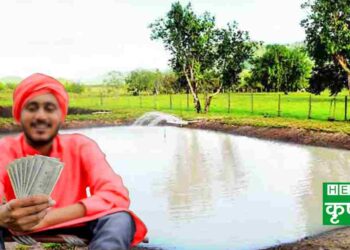 farm ponds subsidy