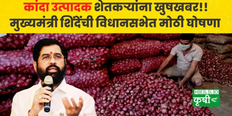 CM shinde big announcement for onion farmers