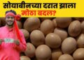 Soyabean Rate