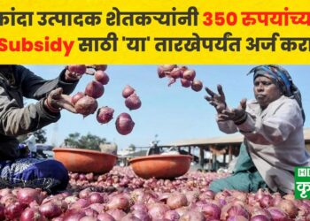 onion farmers 350 rs Subsidy