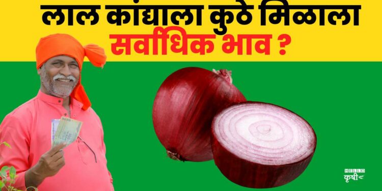 onion rate