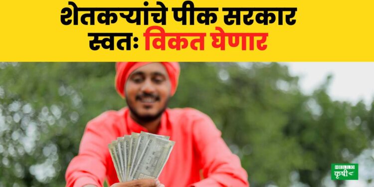 Government Subsidy-2