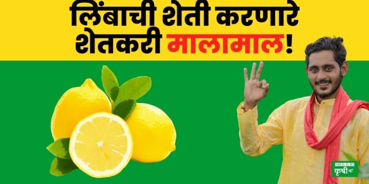 Lemon Rate