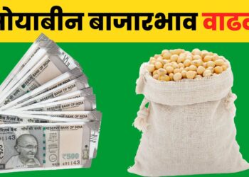 Soyabean Rate