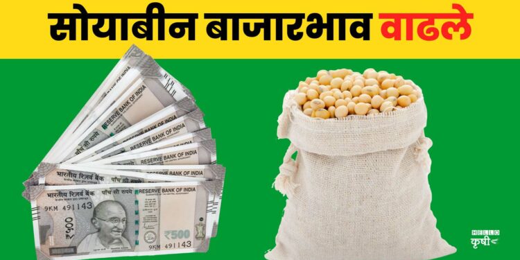 Soyabean Rate