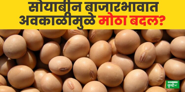 Soyabean rate