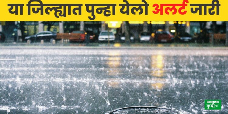 weather update-5
