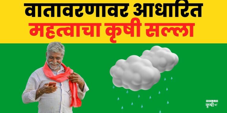 कृषी सल्ला