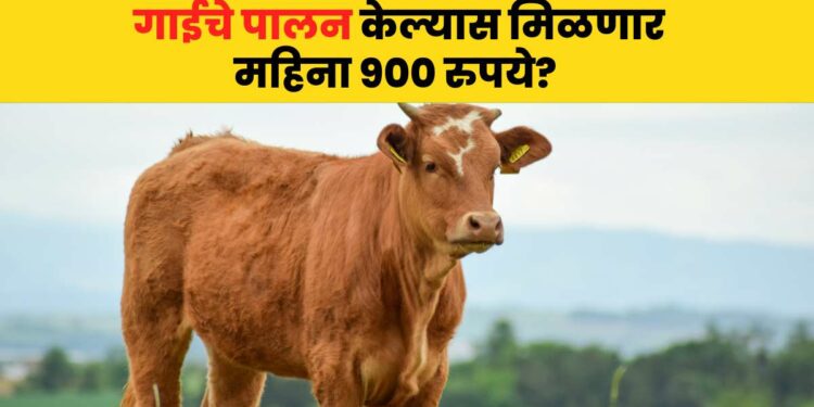 Animal Husbandry