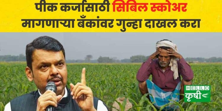 cibil score for crop loan