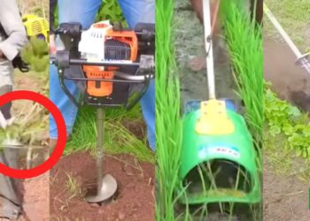 Agriculture Technology
