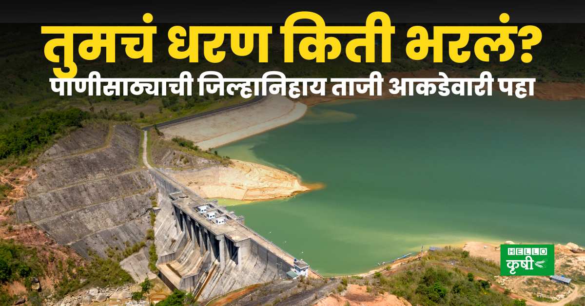 Maharashtra Dam Water Level Today