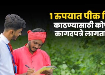 Pik Vima Yojana