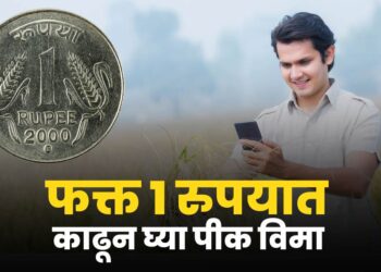 Pik Vima Yojana