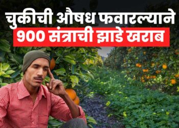 Agriculture News