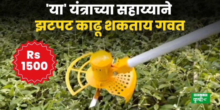 Agriculture Technology
