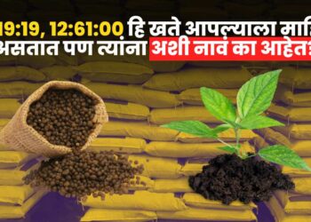 Fertilizers used in Agriculture