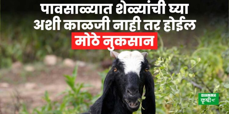 Goat Management