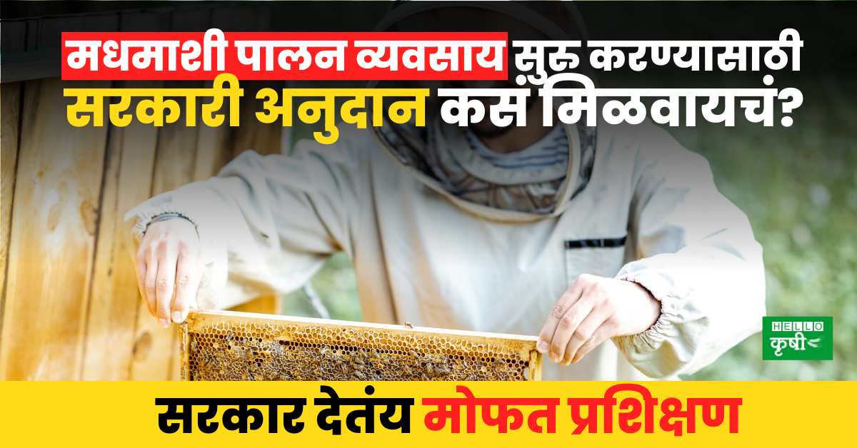 Honey bee farming in Maharashtra
