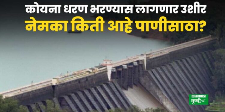 Koyna Dam Water Update