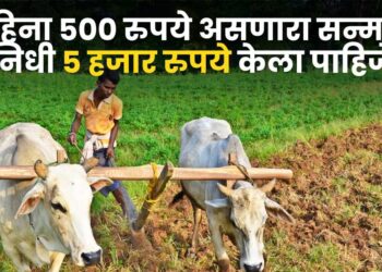 PM Kisan
