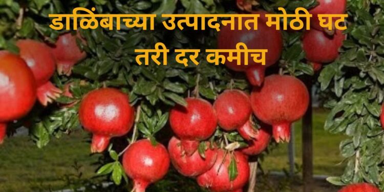 Pomegranate Market